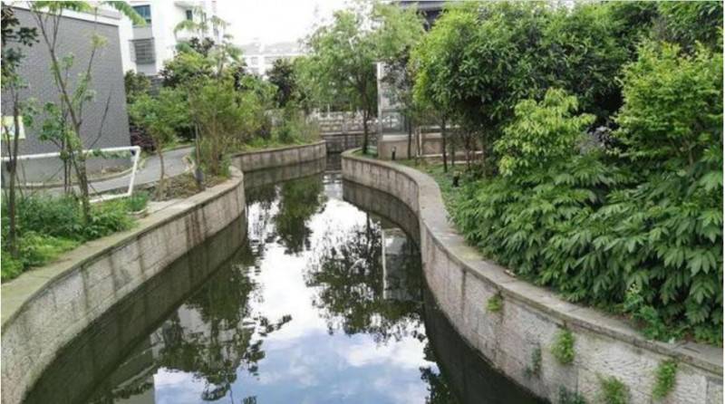 機(jī)器人查出6年“頑疾” 紹興臭水溝變成景觀河