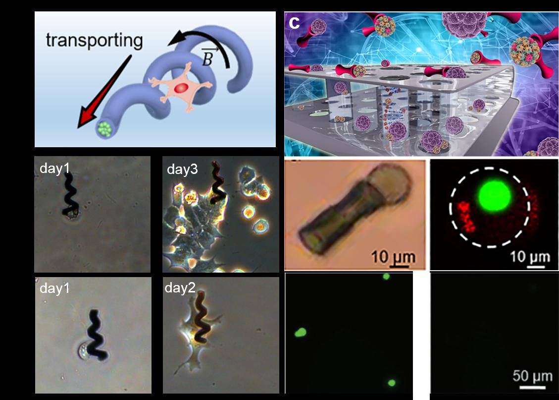 �Ї�(gu��)�ƴ������h(yu��n)�̿ɿصĴſ�΢�{�C(j��)�������ڰ���ˎ���ί�