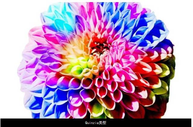 正念冥想機器人-激發潛在創意