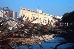 谷歌與哈佛大學(xué)聯(lián)合開發(fā)可預(yù)測余