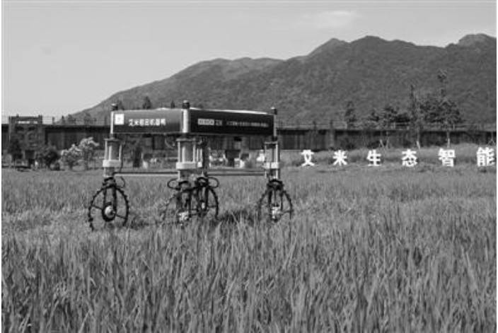 浙江首個(gè)5G智慧農(nóng)業(yè)上線 機(jī)器人巡田無人機(jī)噴灑