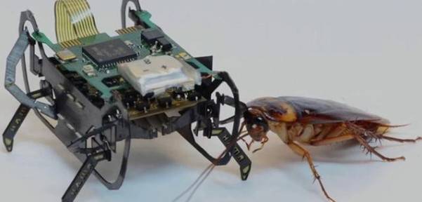 the-rebar-that-robots-tied-on-the-b1m.jpg the-rebar-that-robots-tied-on-the-b1m.jpg