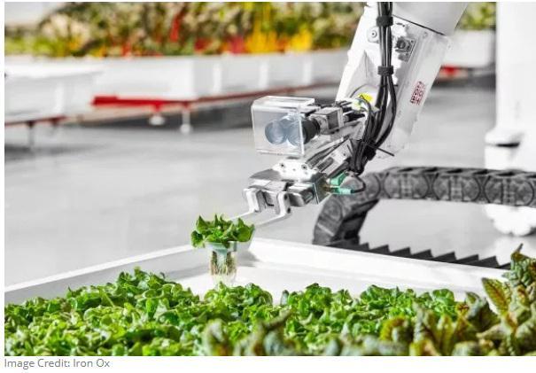 ����(gu��)�ׂ�(g��)ȫ�Ԅ�(d��ng)���҃�(n��i)�r(n��ng)��(ch��ng)Ͷ�����a(ch��n) �a(ch��n)������y(t��ng)�Nֲ��30�౶