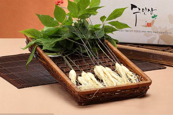 �n��Smart Farm Factory���^��I����Agronics