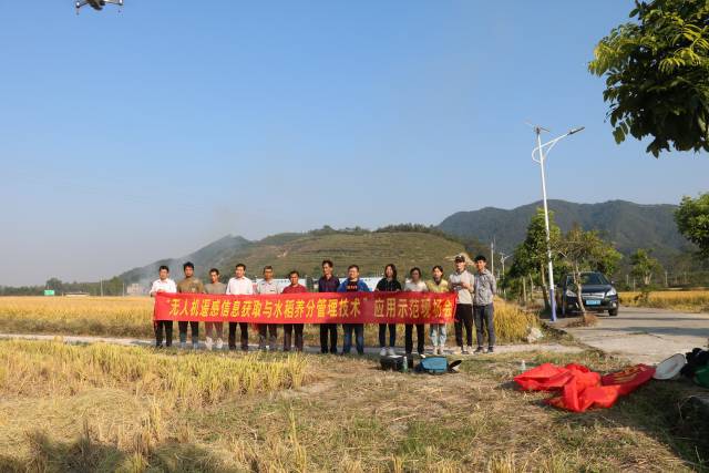 首個全程采用無人機進行水稻田間管理的農場測產,比傳統施肥增產15.67%